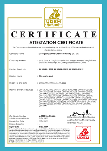 UDEM sertifikatas.jpg
